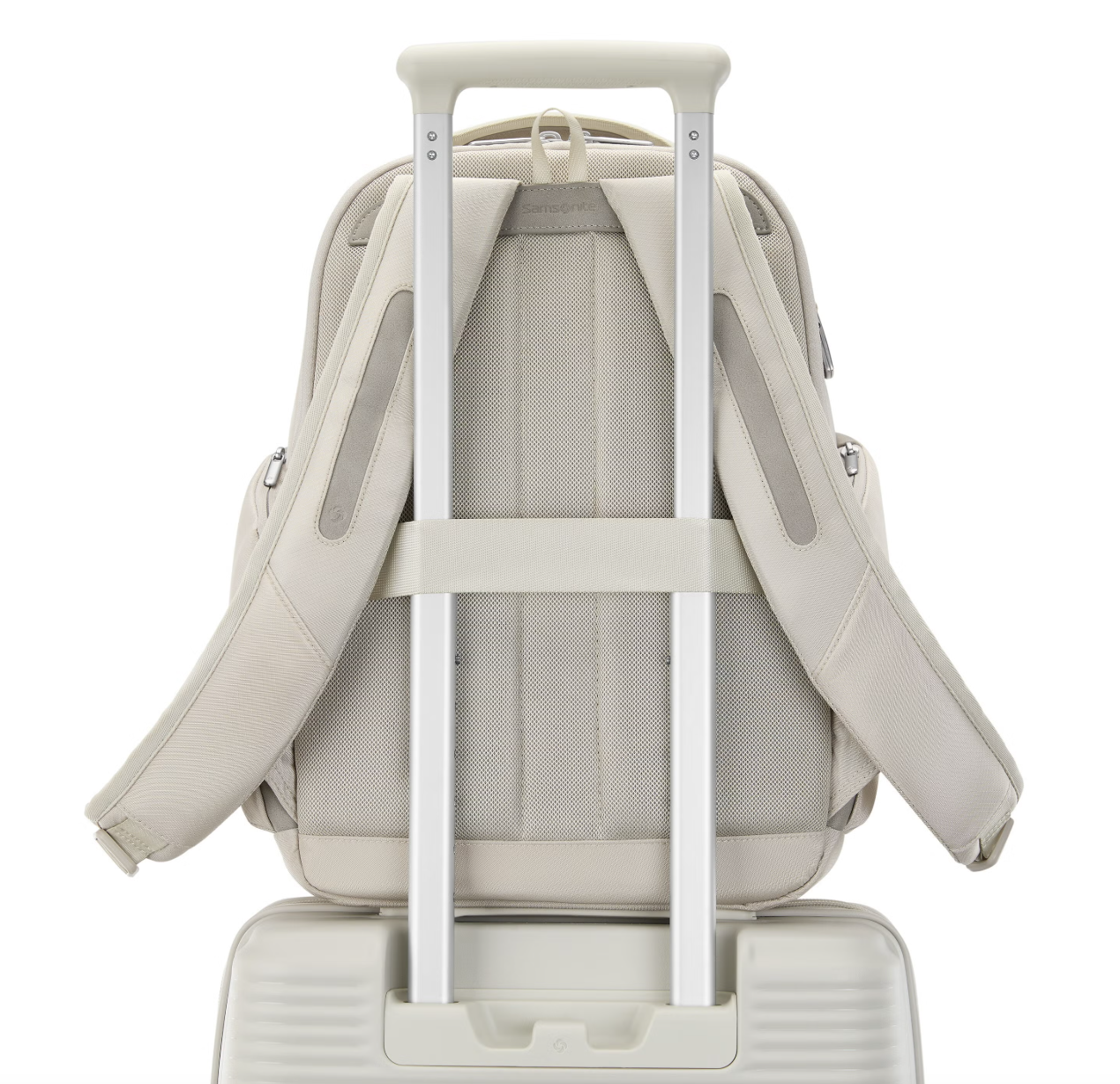 Samsonite Paralux Everyday Backpack