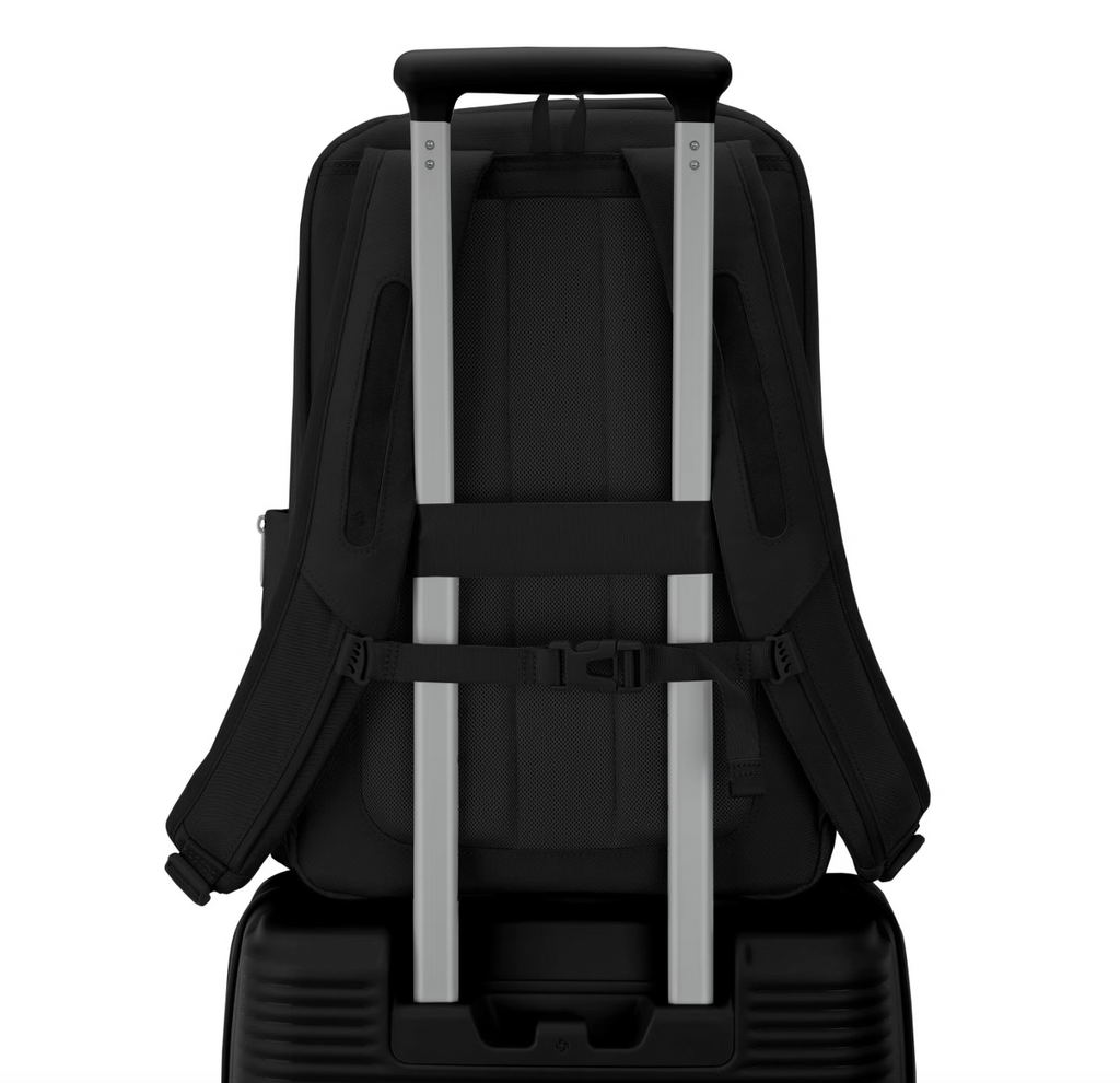 Samsonite Paralux 2-in-1 Travel Backpack