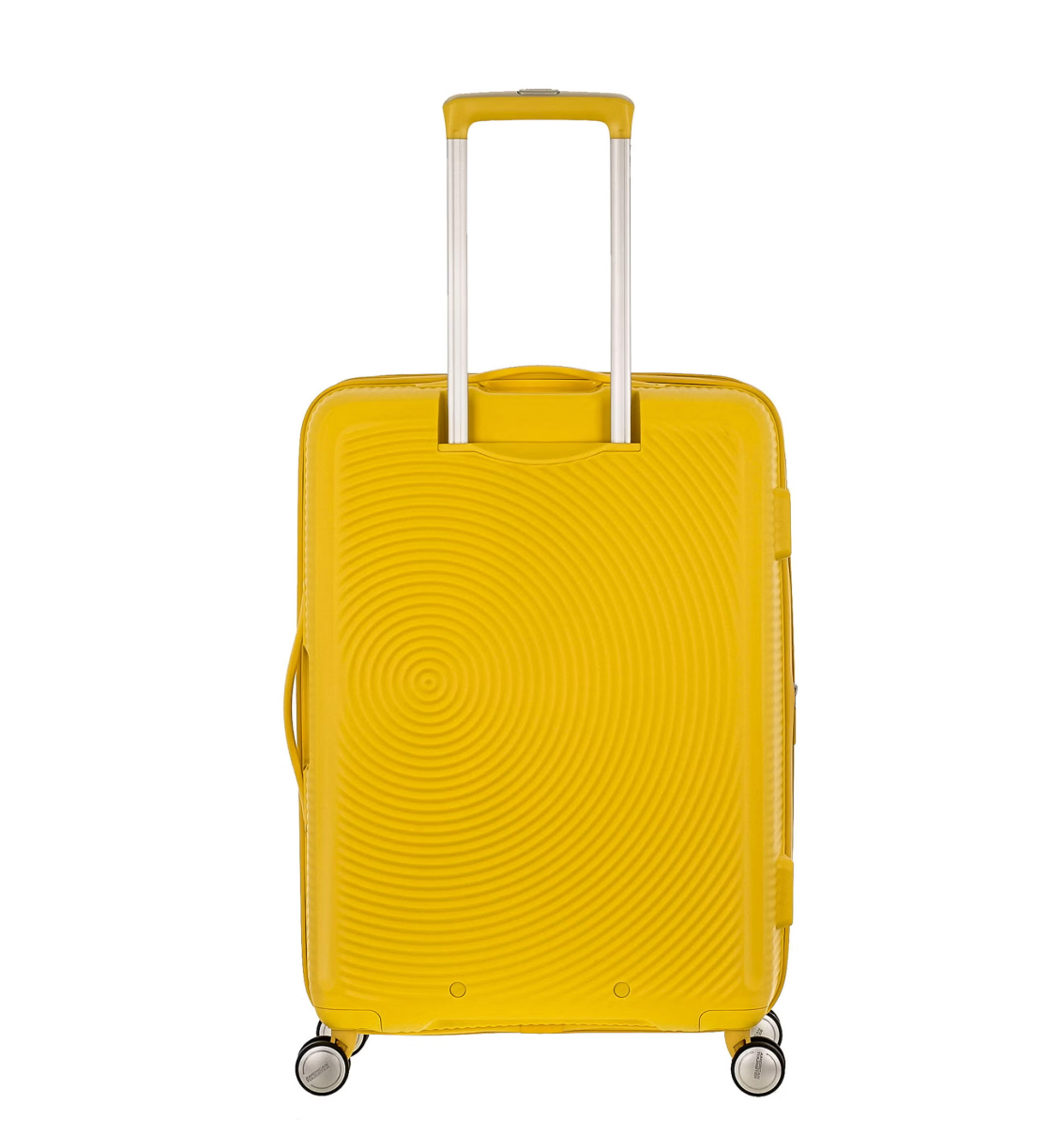 American Tourister Curio Spinner Medium