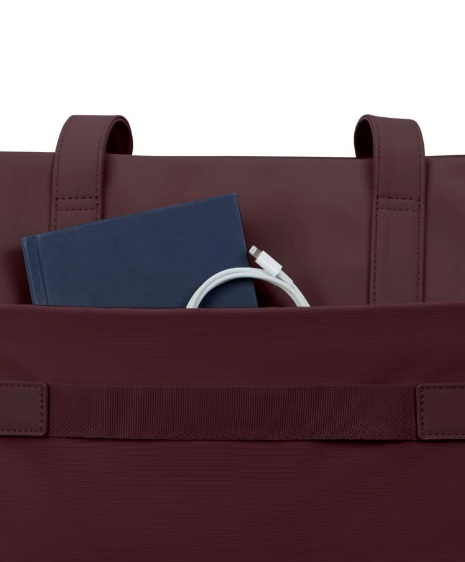 Samsonite Companion Tote